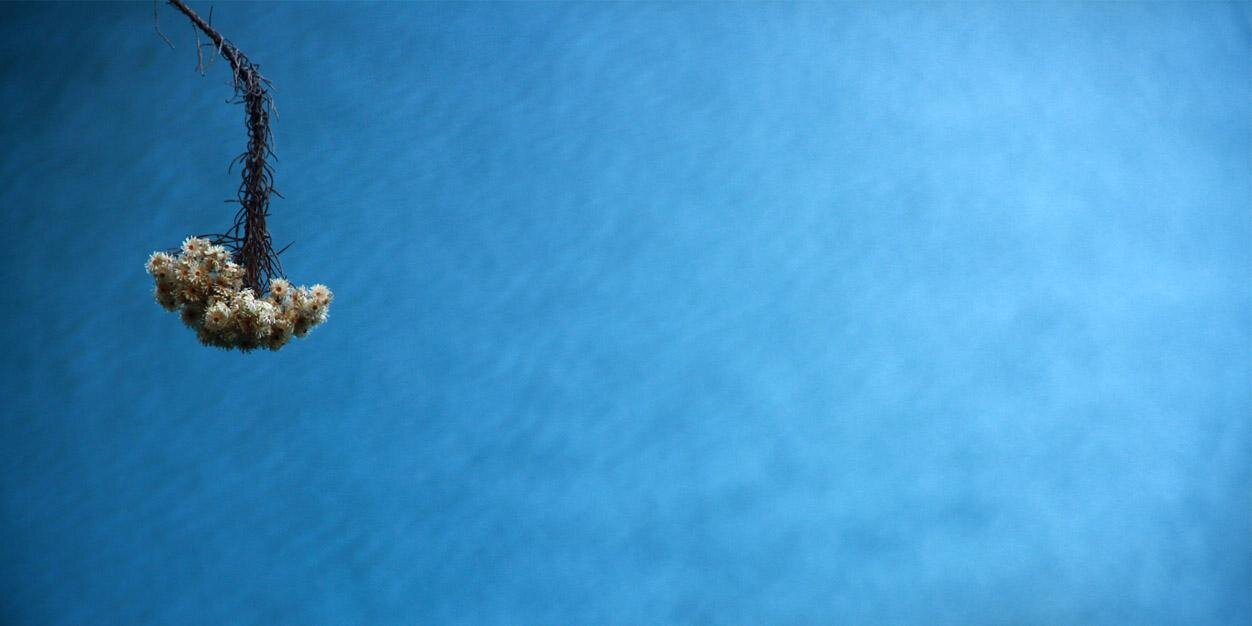 hanugrah's profile banner image