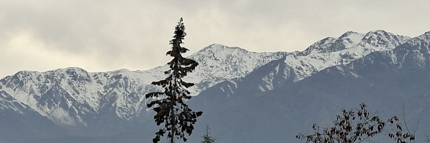 Naferca's profile banner image