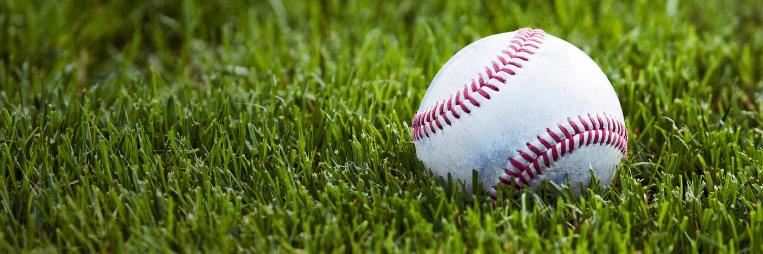 Little League D1 banner