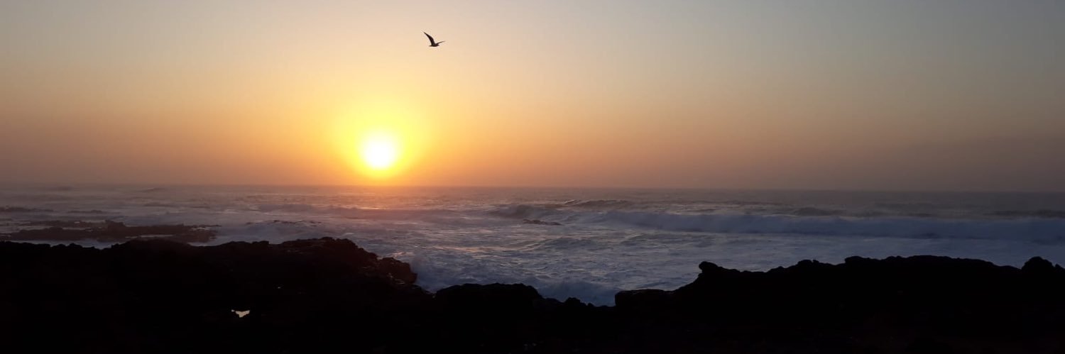 peñita 🥀 banner