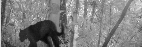 WMJHlibrary Profile Banner