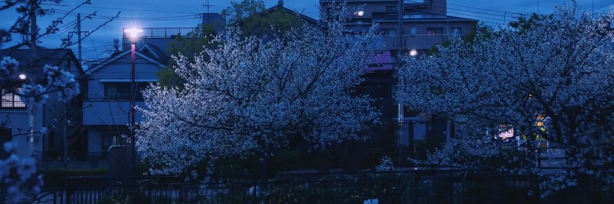 gracefulatte's profile banner image