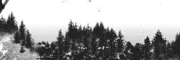 Lonee banner