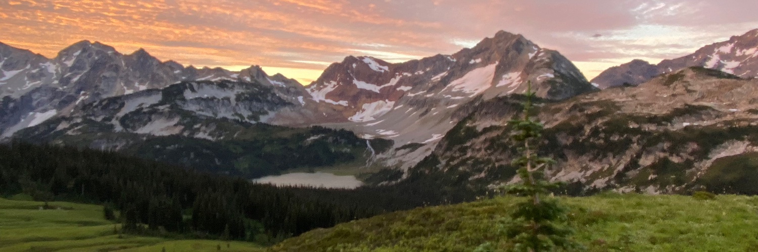 Topo Maps+ App banner