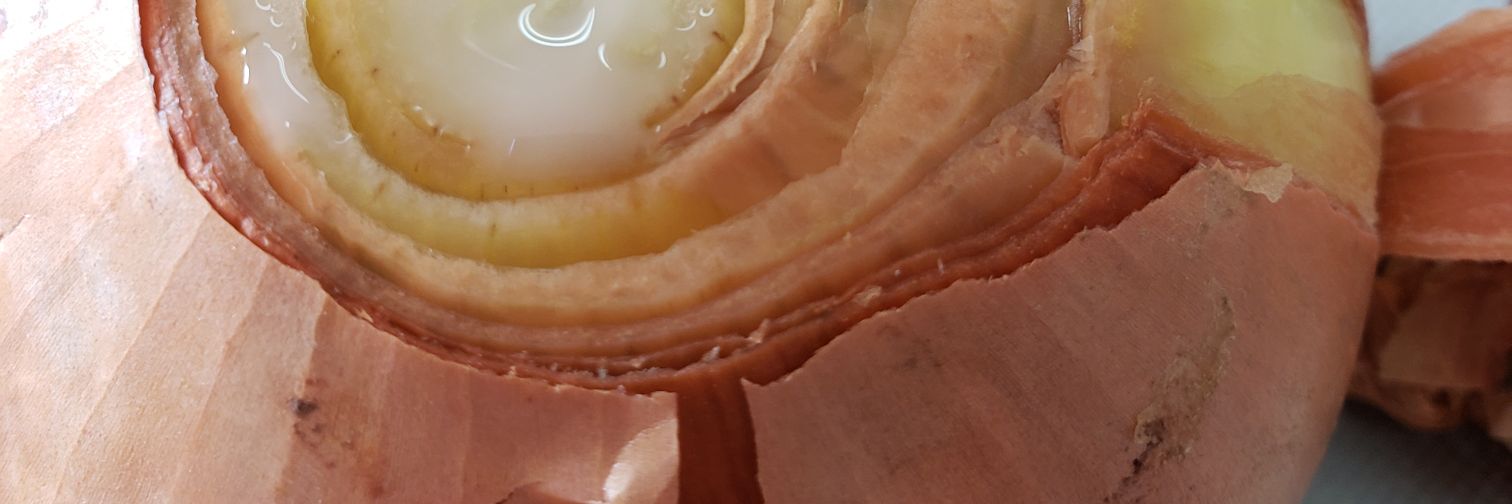 PancernaCebula's profile banner image