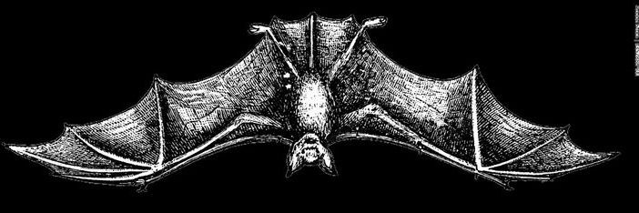 GRIF7WOOD's profile banner image