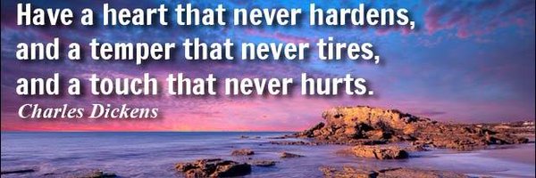 ToodleBug Profile Banner