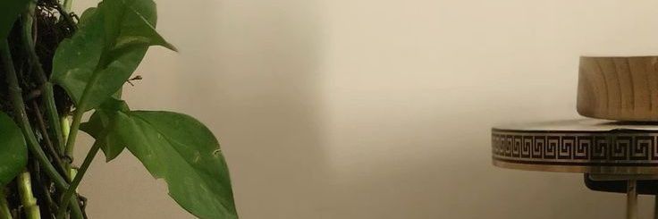 🧚‍♀️ banner