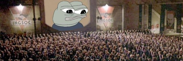 FullTimeTurtle banner