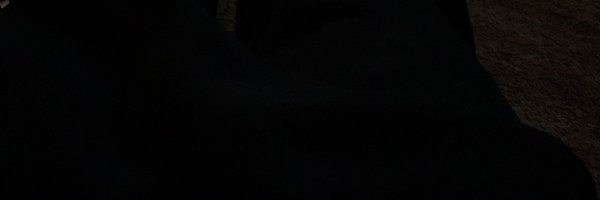 1luuhj5 Profile Banner