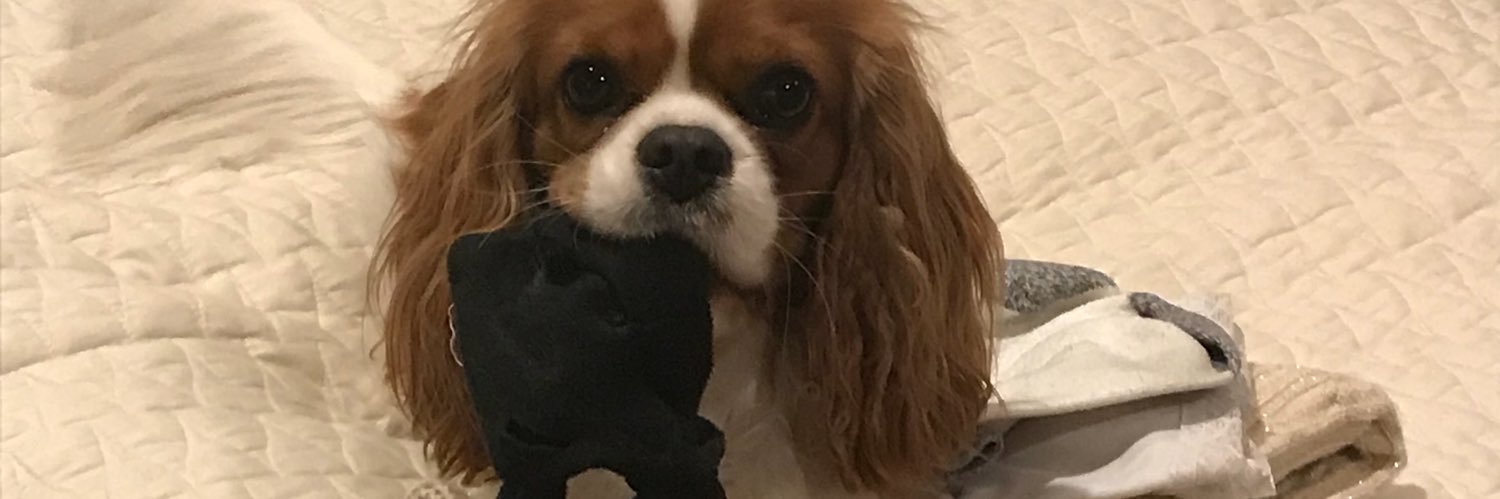 JerryJmech's profile banner image