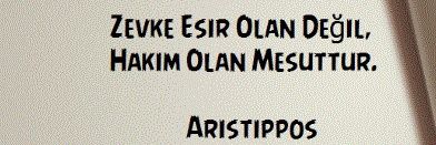 orjanorjan's profile banner image