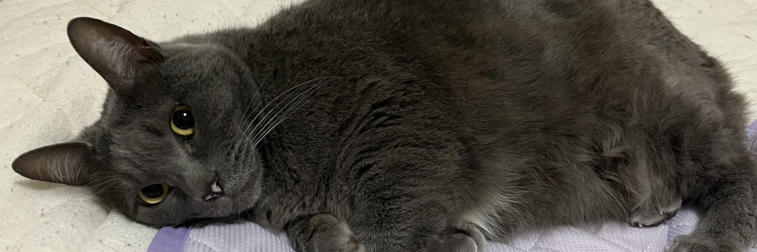 sugenon's profile banner image