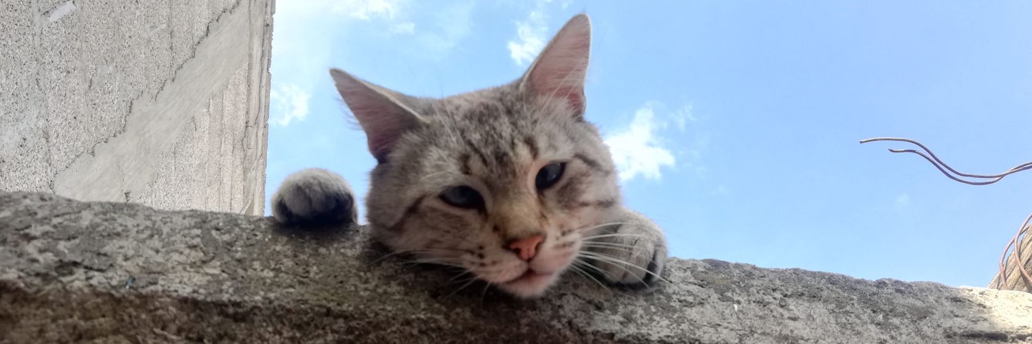 Xa_El_'s profile banner image