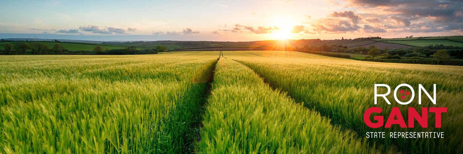 Rep. Ron Gant banner