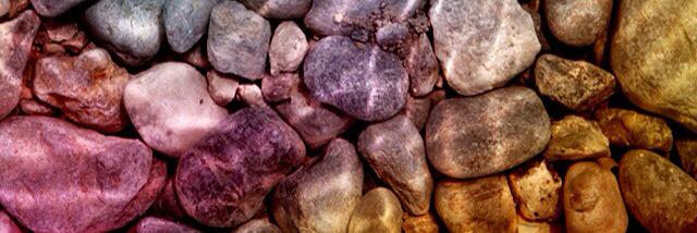 Selene Àlvarez…  banner
