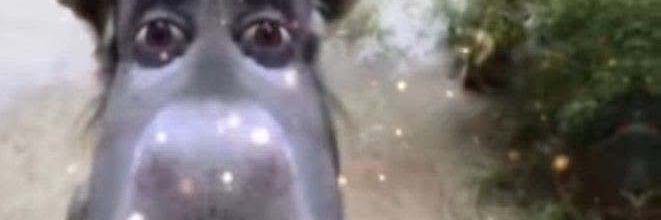 bondelnce's profile banner image