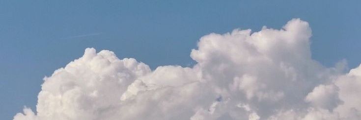 Littlebell079's profile banner image