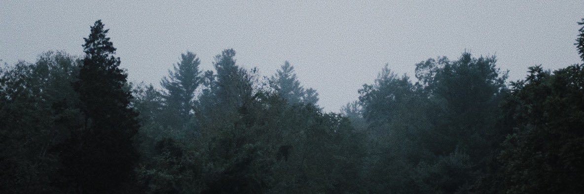 Hunter Lyon banner