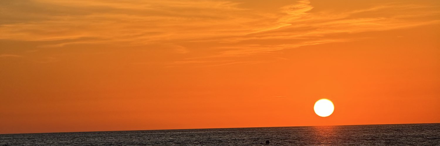 thedotguy banner