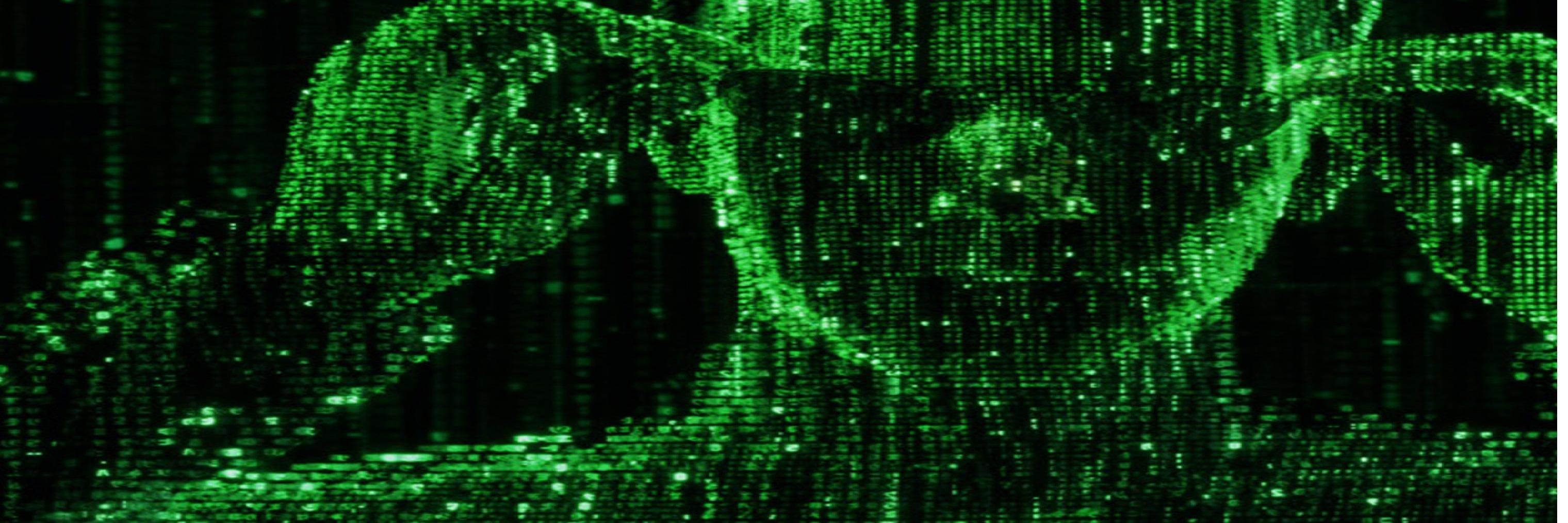 S banner