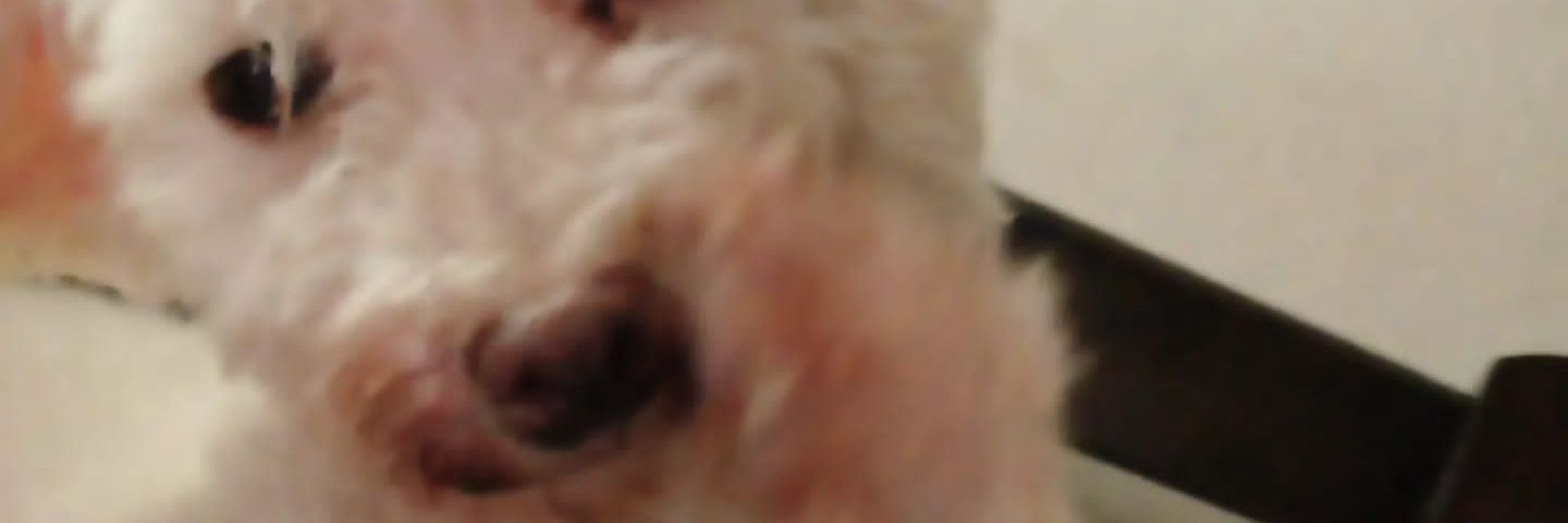 ayunaylen's profile banner image