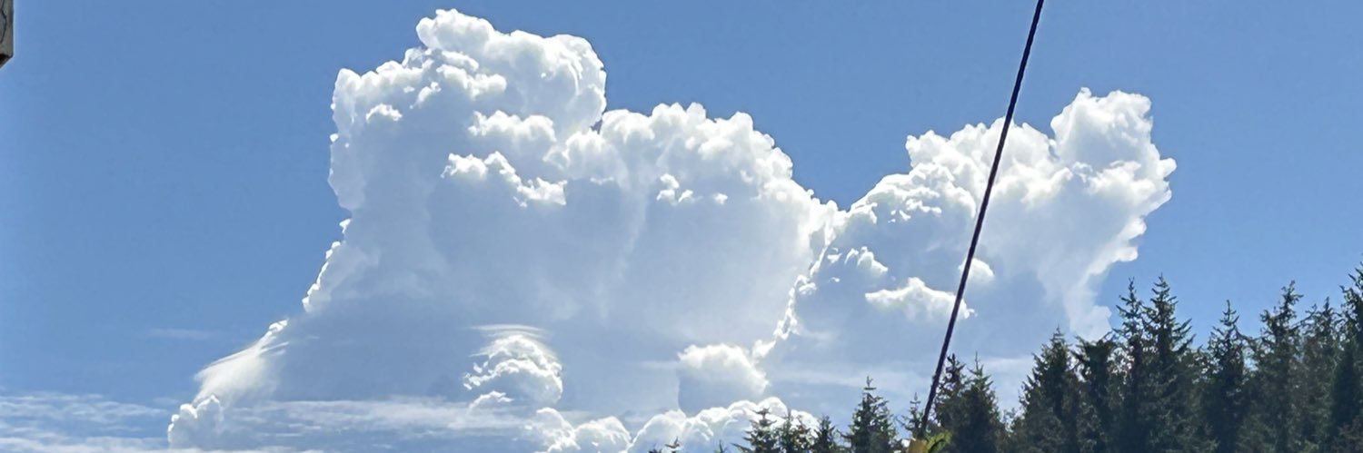 gacarey's profile banner image