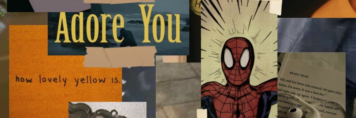 leozzcam's profile banner image