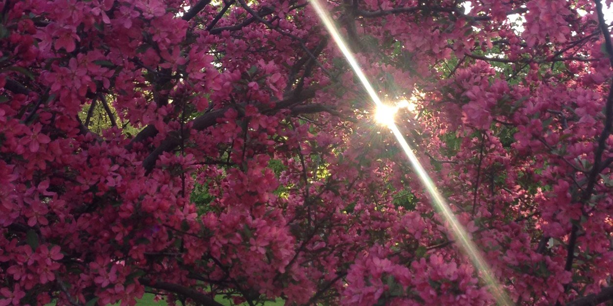 MakeshiftLiving's profile banner image
