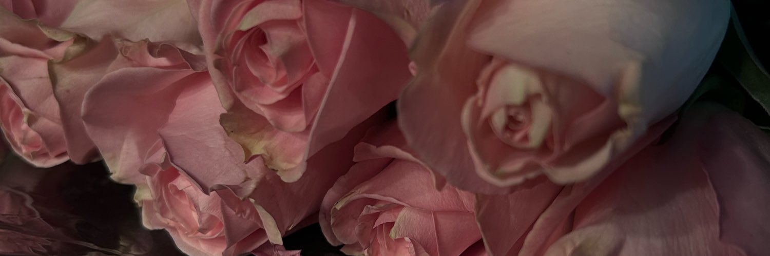 yoooleeee_'s profile banner image