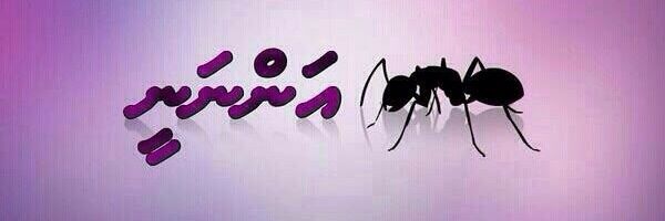 Healthworkersmv Profile Banner