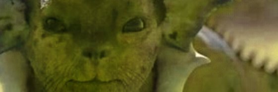 (sal) www.tumblr.com/blog/syvvieon banner