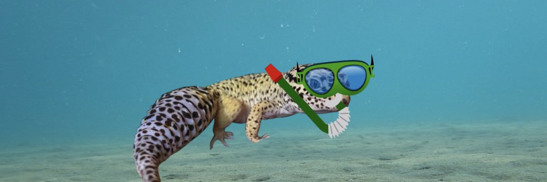 Ashlen Renner banner