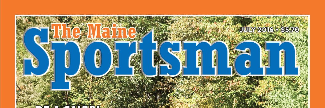 MESportsman's profile banner image