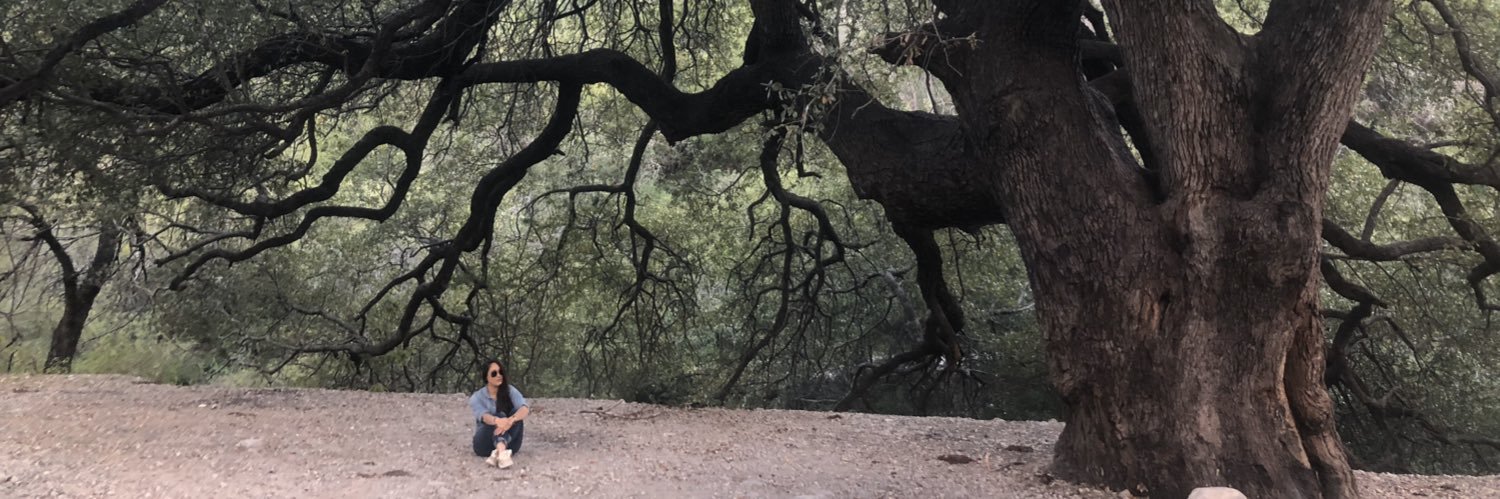 FabiolaAleman's profile banner image