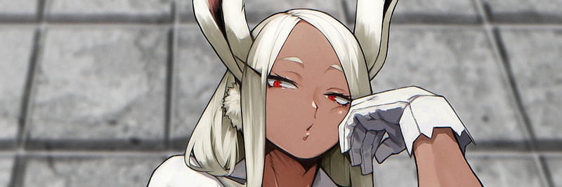 Mirko the Rabbit Hero banner