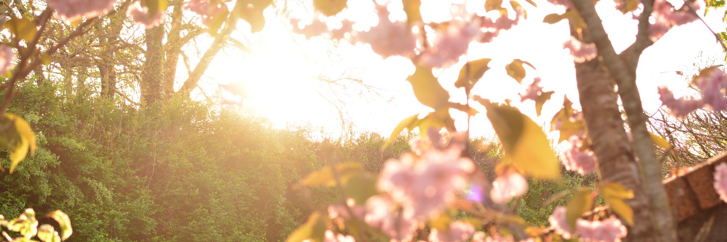 ISOPRIORITY's profile banner image