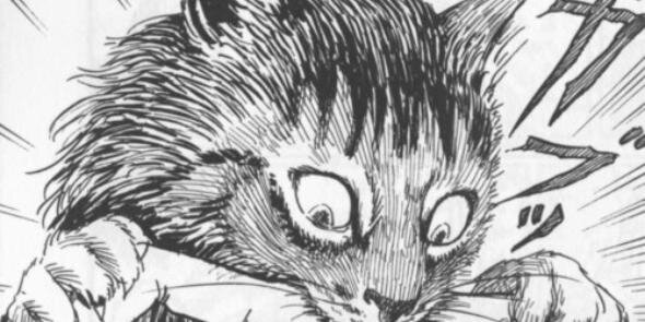 arpeg's profile banner image