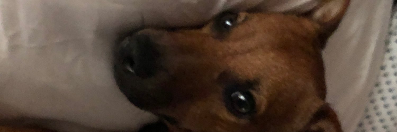 ravedandall's profile banner image