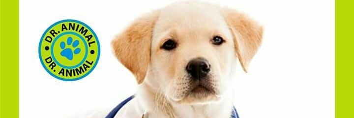 Dranimal1's profile banner image