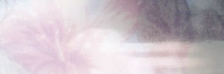 miwa banner