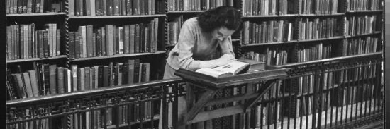 Bibliotecaria Anónima banner