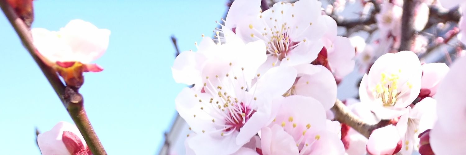 enakara's profile banner image
