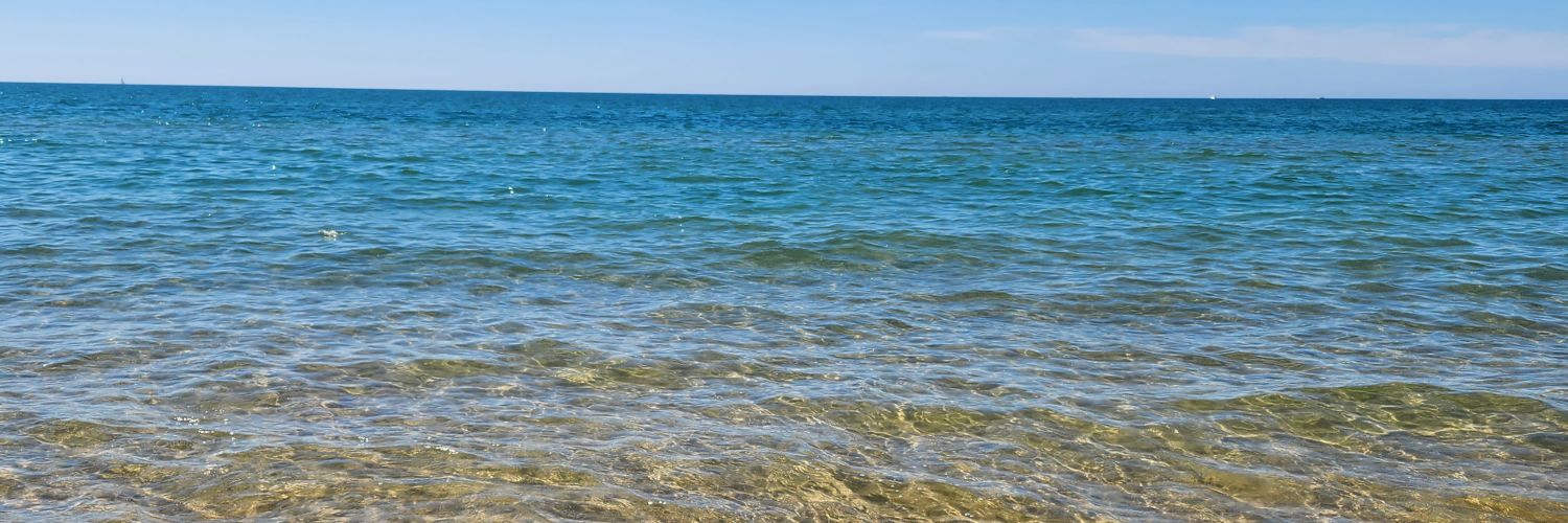 William Nettleton, MD, MPH banner