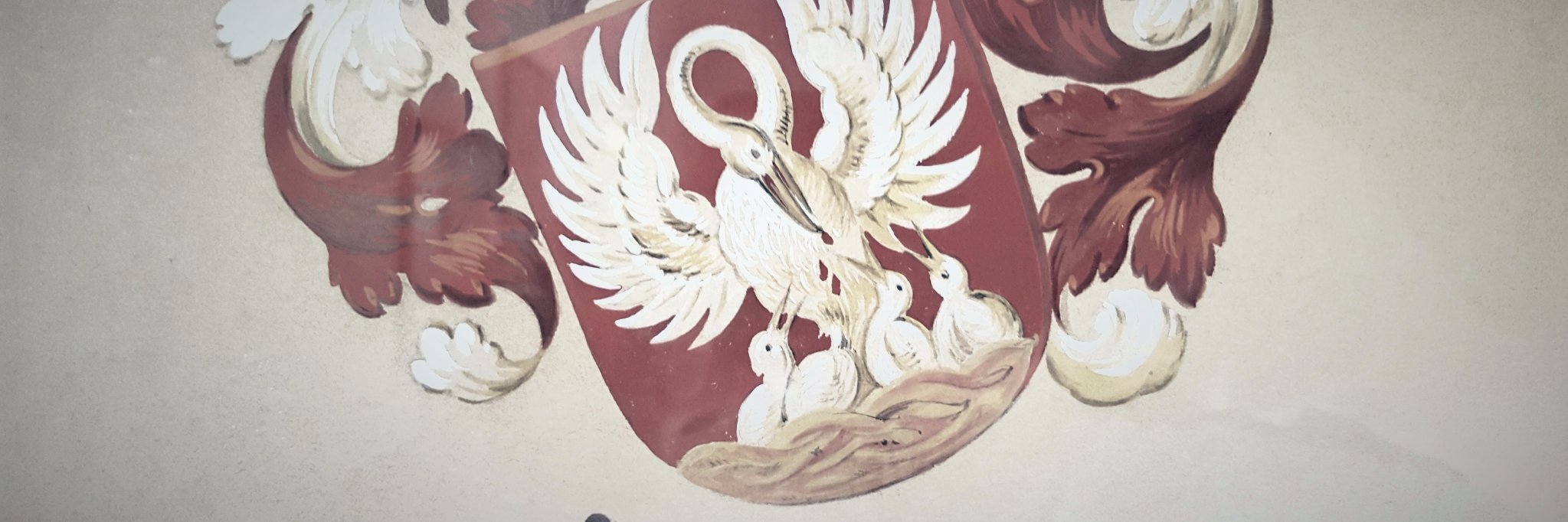 StephanYves's profile banner image