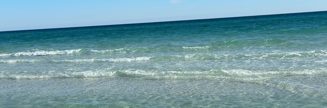 Cameron banner