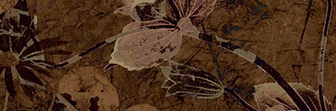 Elimusestar_'s profile banner image