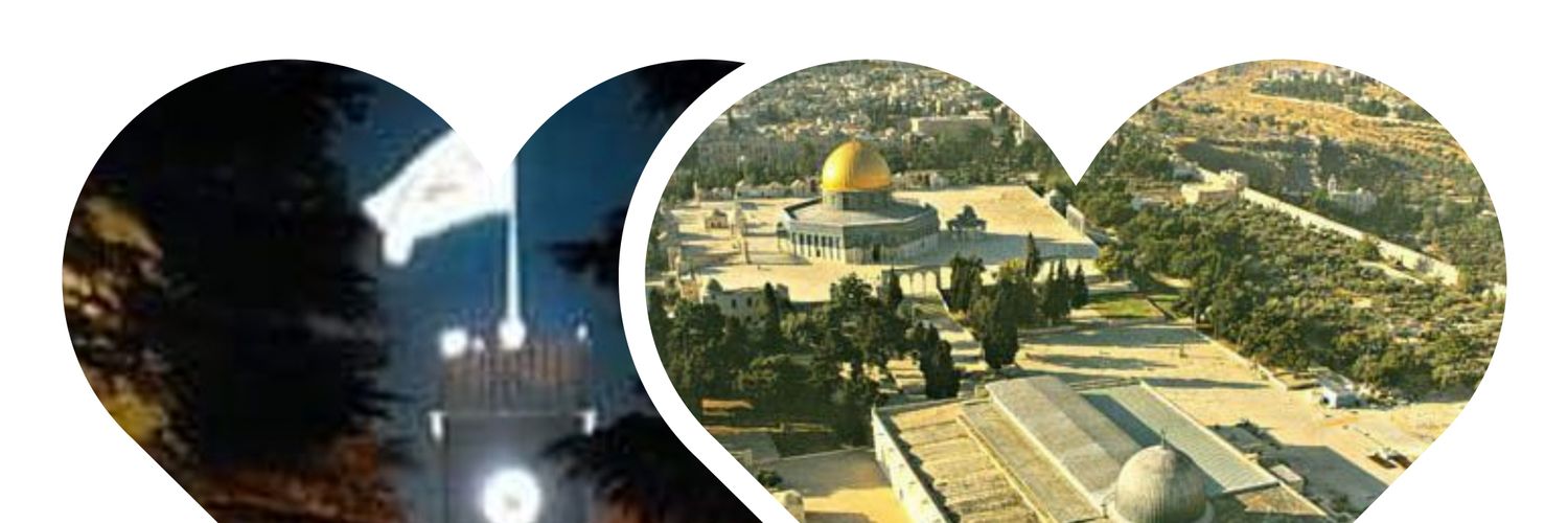 DrMWHamed313's profile banner image
