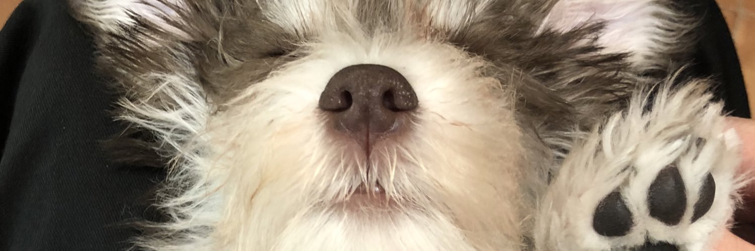 yoshiopp's profile banner image