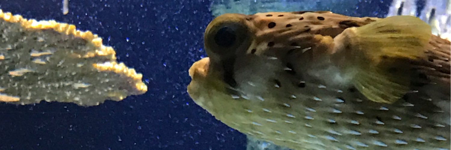louispoling's profile banner image